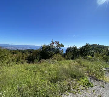 IČIĆI, VEPRINAC - Zemljište 8320 m2 - cover