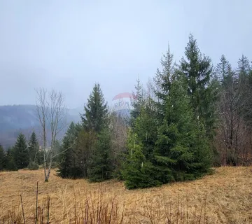 Gorski Kotar, Stari Laz - građevinski teren sa dozvolom i projektom  - cover