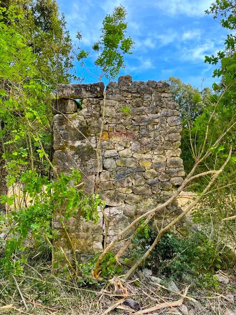 Rovinj,11 000m2 pašnjak + 178m2 ruševina,struja+voda - cover