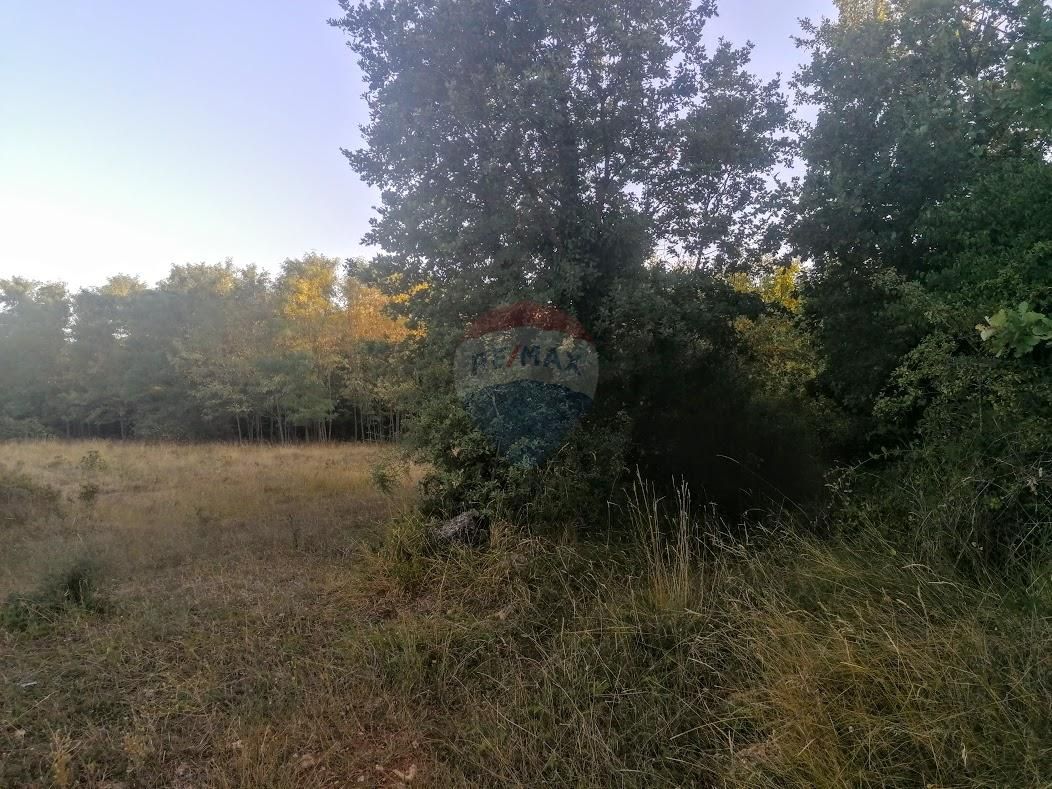 Fotografija