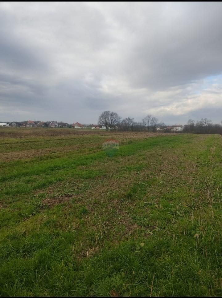 Fotografija