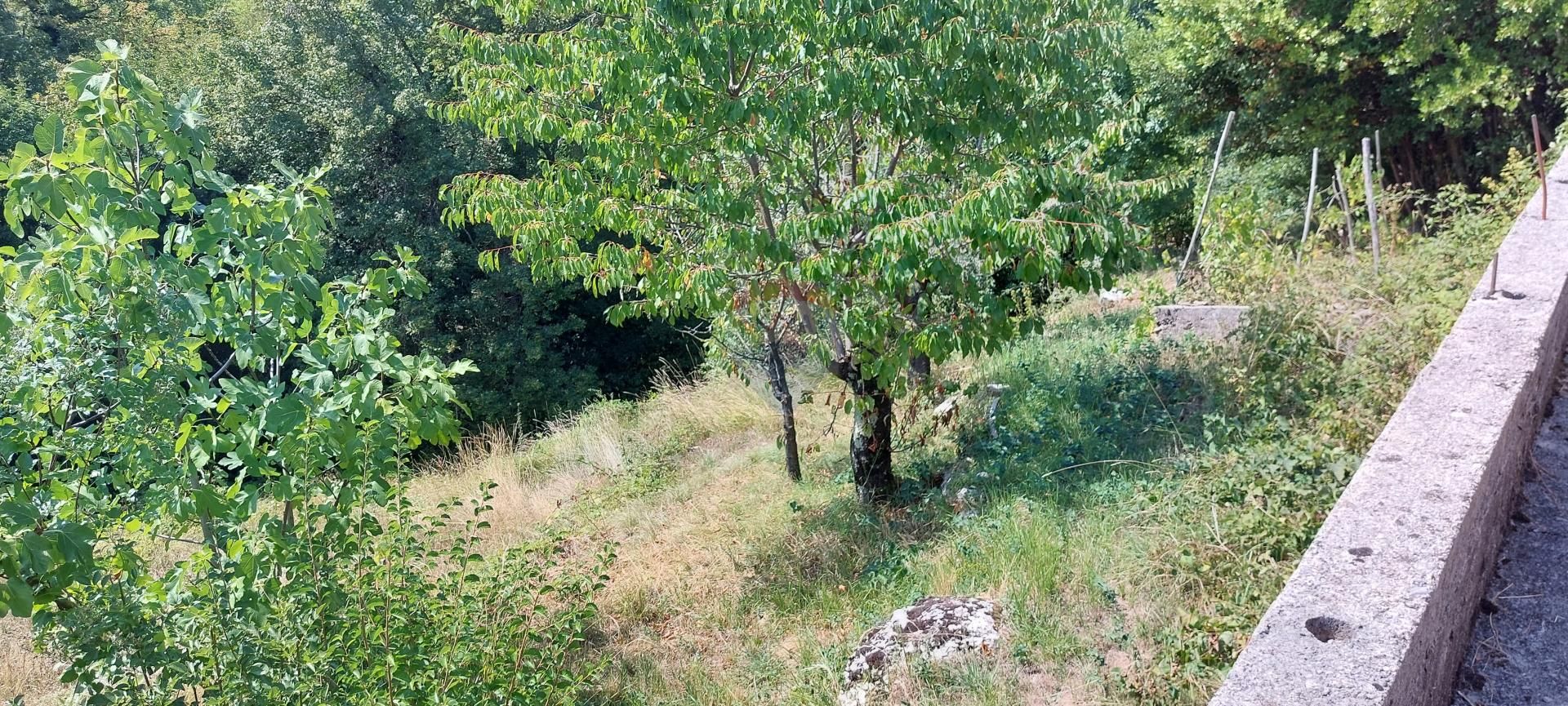 Fotografija