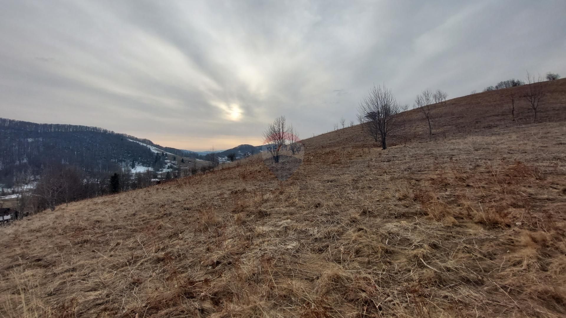 Fotografija