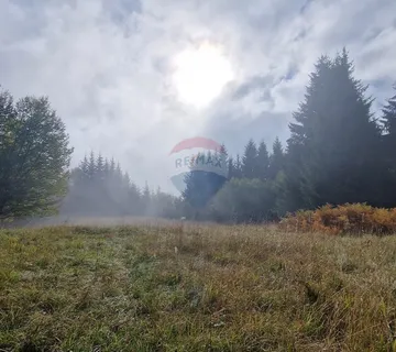 Delnice - poljoprivredno zemljište - cover