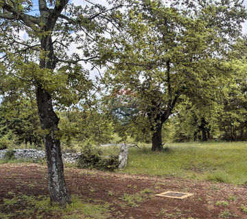 ISTRA, SV. LOVREČ - Građevinsko zemljište 989 m2 s priključcima i dozvolom - cover