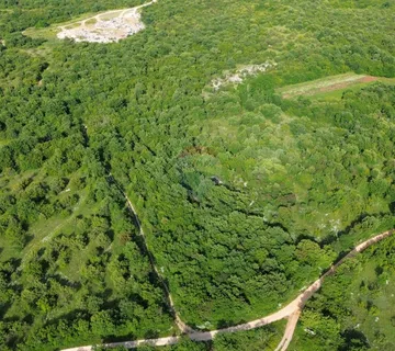 ISTRA, BALE - Poljoprivredno zemljište 8570 m2 - cover