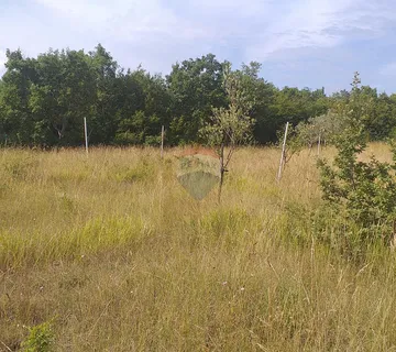 Istra, Nova Vas poljoprivredno zemljište - cover