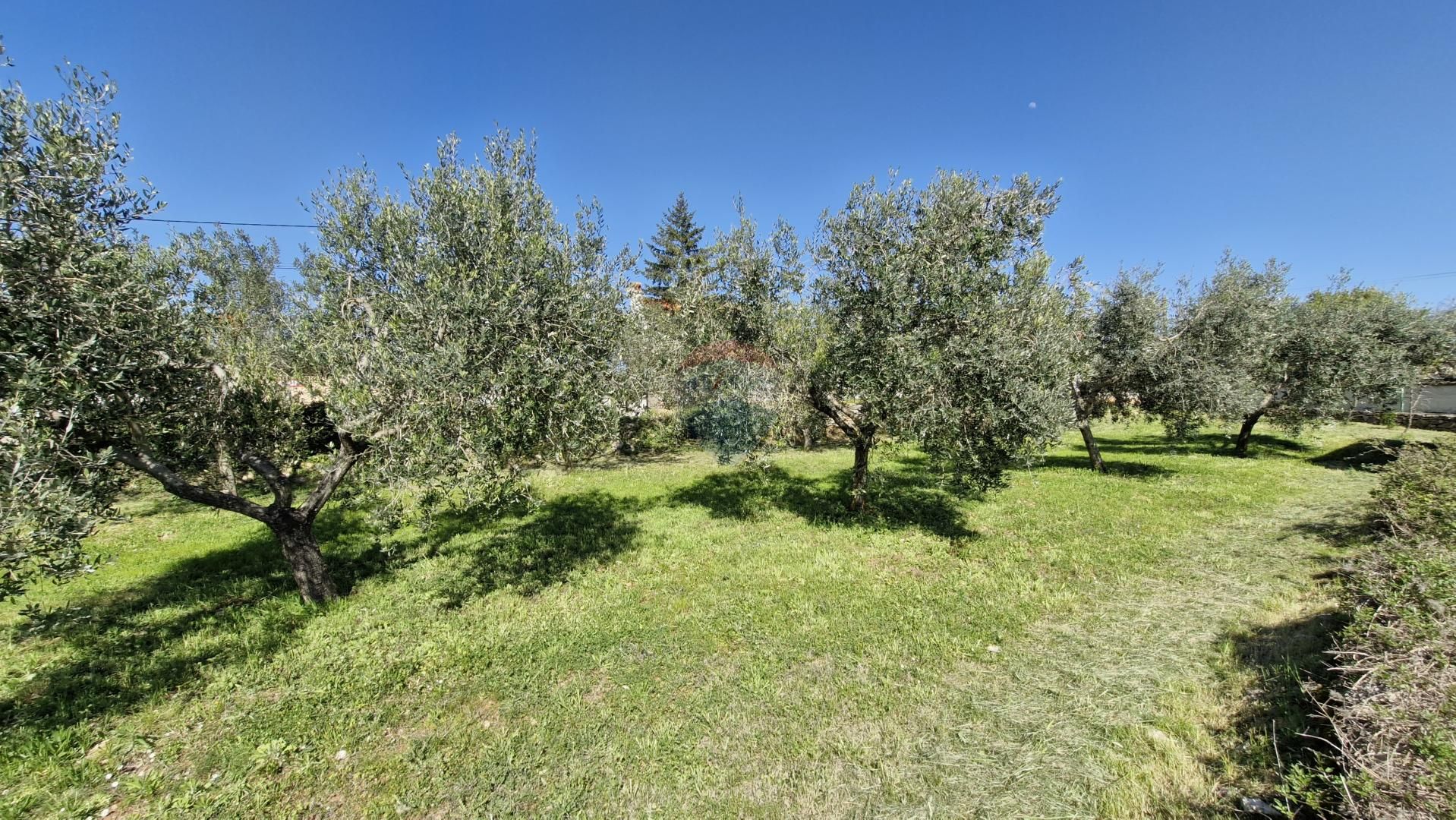 Fotografija