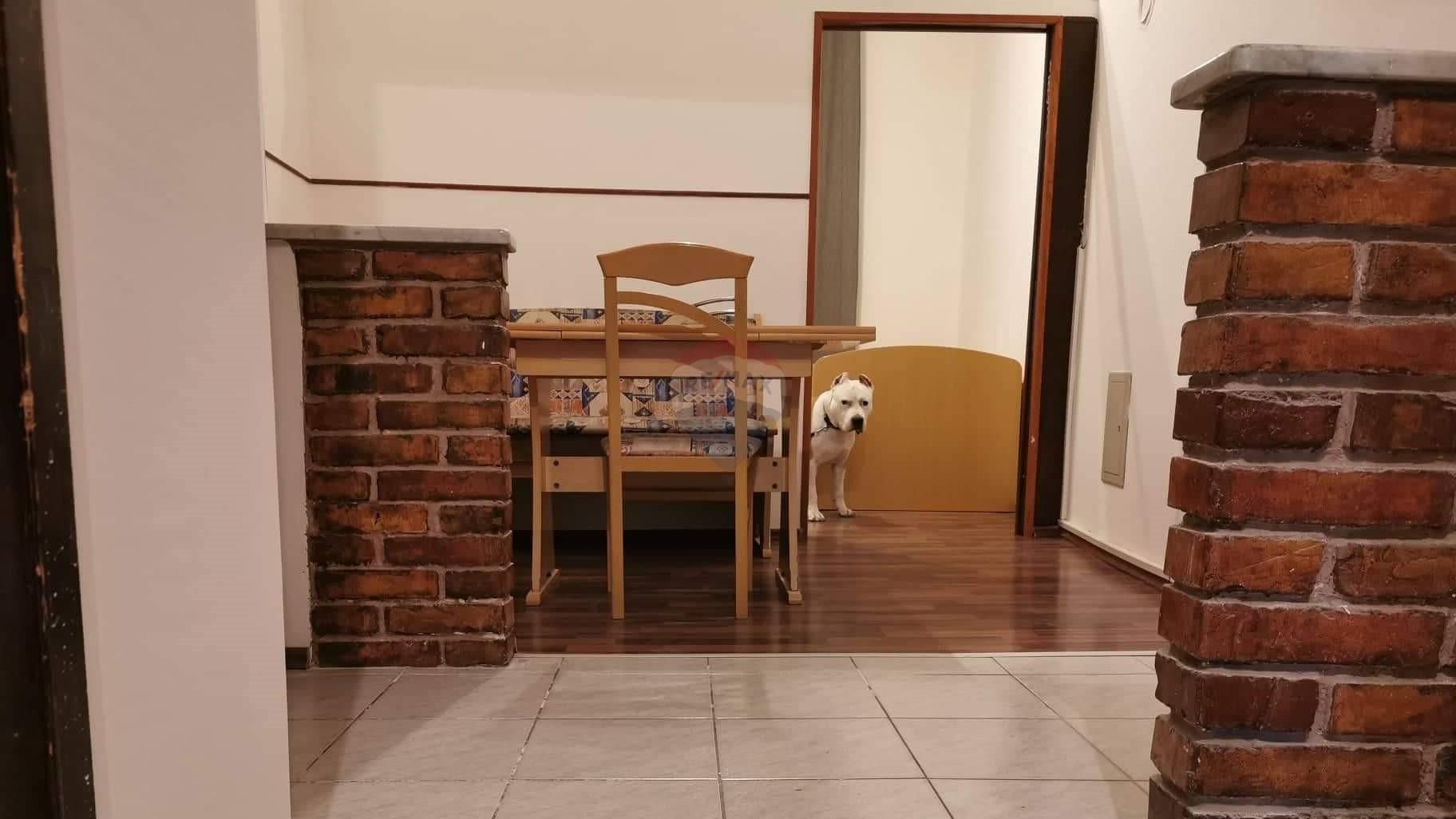 Fotografija