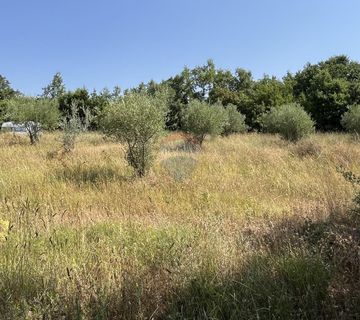 Istra, Vrsar - okolica - poljoprivredno zemljište s ucrtanim putem - cover