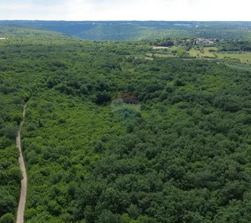 ISTRA, LIMSKI KANAL - Poljoprivredno zemljište 1100 m2 - cover
