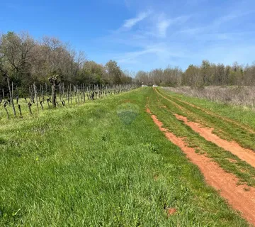 Istra, Umag, Lovrečica - poljoprivredno zemljište 3795 m2 - cover