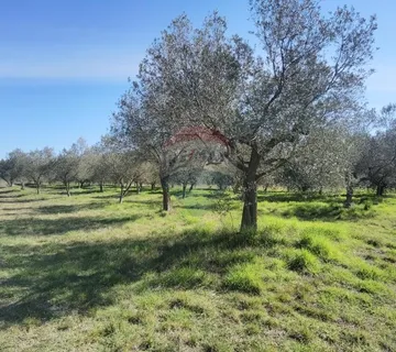 Istra, Galižana - zemljište na rubu urbanizacije  - cover