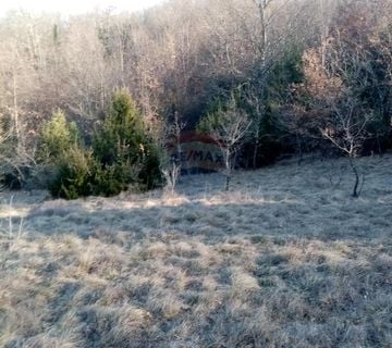 Žminj,2,5km 15200m2 poljoprivredno zemljište - cover