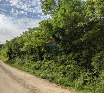 Istra, Rovinjsko Selo - šuma 8220 m2 na rubu urbanizacije - cover