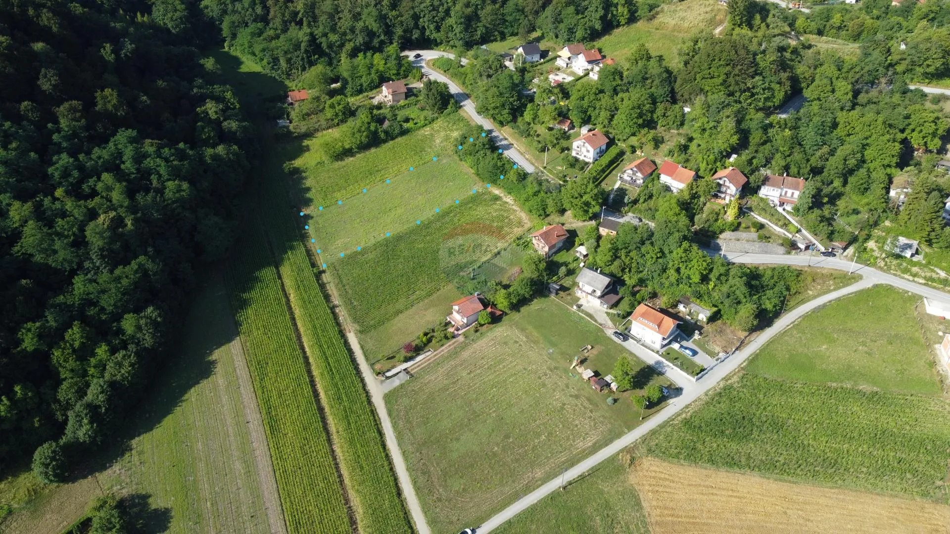 Fotografija