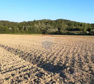 Istra, Cerovlje, poljoprivredno zemljište 18775m2 - cover