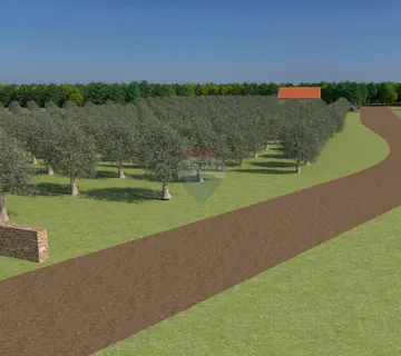 Istra, Bale,  poljoprivredno zemljište od 12.200 m2 sa mogućnošću gradnje gospodarskog objekta - cover