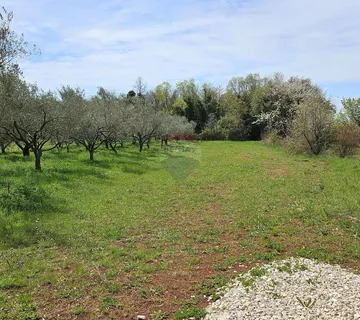 Istra, Umag okolica, negrađevinsko zemljište blizu mora - cover