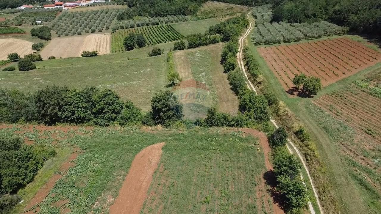 Fotografija