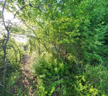 Istra, Bale, poljoprivredno zemljište - cover