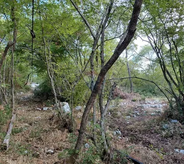 Rovinj, 4km od centra, 2600m šume koja šumi - cover