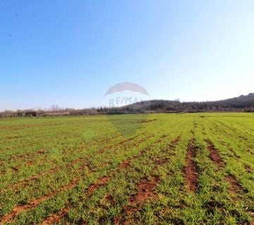 Istra, poljoprivredno zemljište 5 km od Poreča - cover