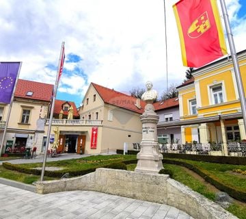 Krapina, centar, kuća Ljudevita Gaja i poslovni prostor, idealno za investiciju - cover