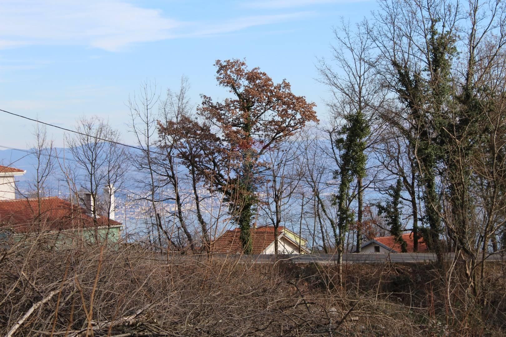 Fotografija
