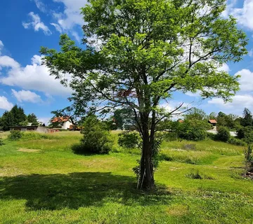 Gorski Kotar - Moravice/započeta gradnja - cover