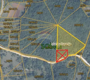Istra,Sošići-šuma 3200m2 na odličnoj lokaciji - cover
