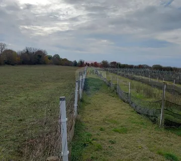 Istra, blizina istočne obale, Krnica, poljoprivredno zemljište u blizini mjesta - cover