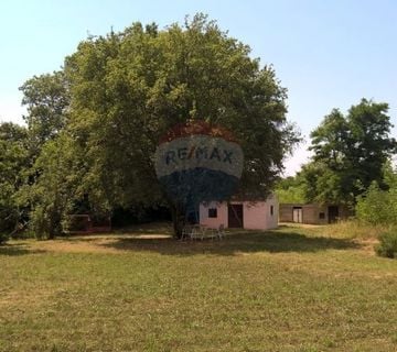 Baderna, Imanje, 30 500m2 - cover