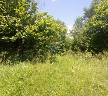 Lukovdol, poljoprivredni teren, 5300 m2 - cover