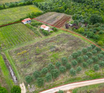 Rovinj,4km od centra,dva legalizirana objekta u kampanji-10350m2 - cover