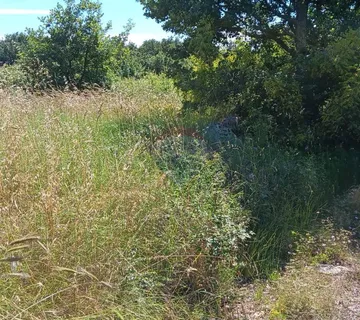 Istra,Gradina,Sveti Lovreč,poljoprivredno zemljište - cover