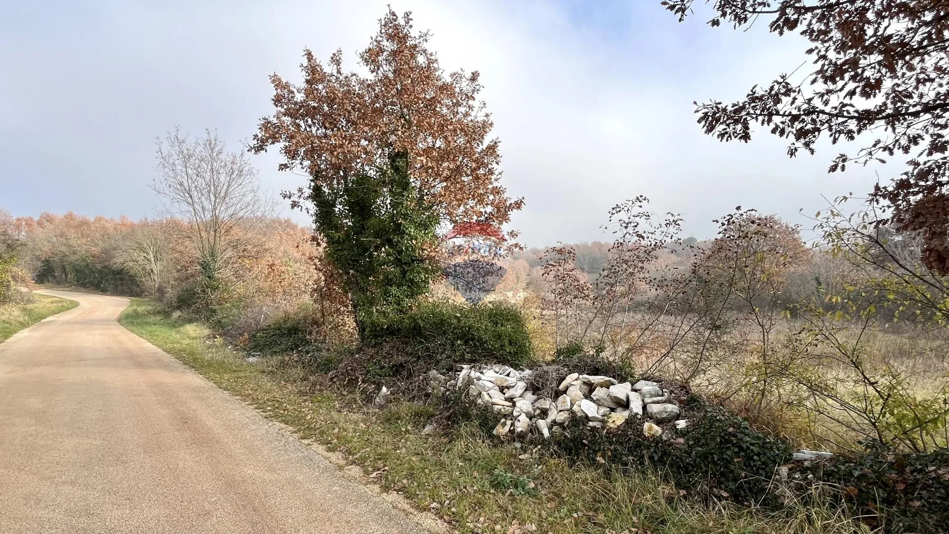 Istra, Kringa , okolica - građevinsko zemljište u manjem selu - cover