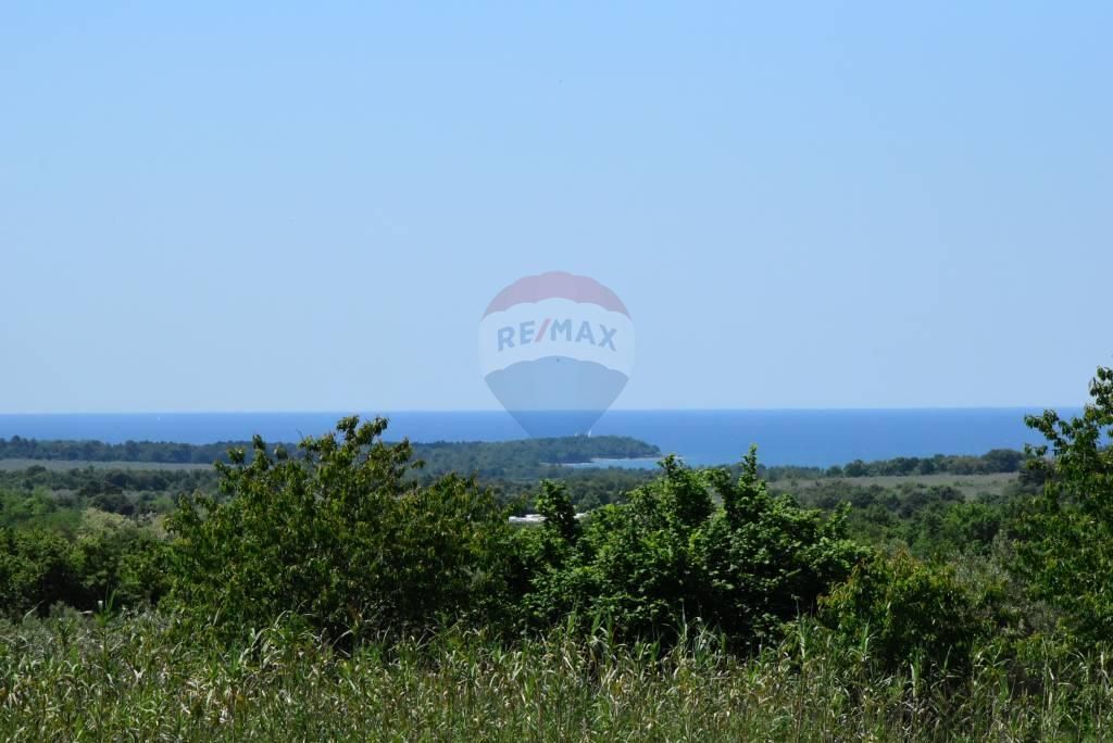 Fotografija