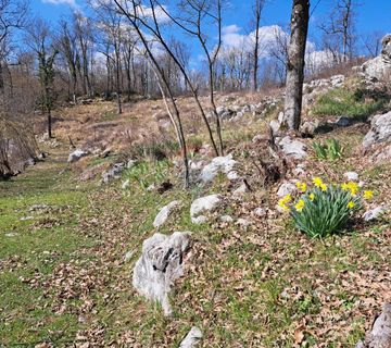 Matulji,okolica,građevinski teren,blizina svih sadržaja - cover