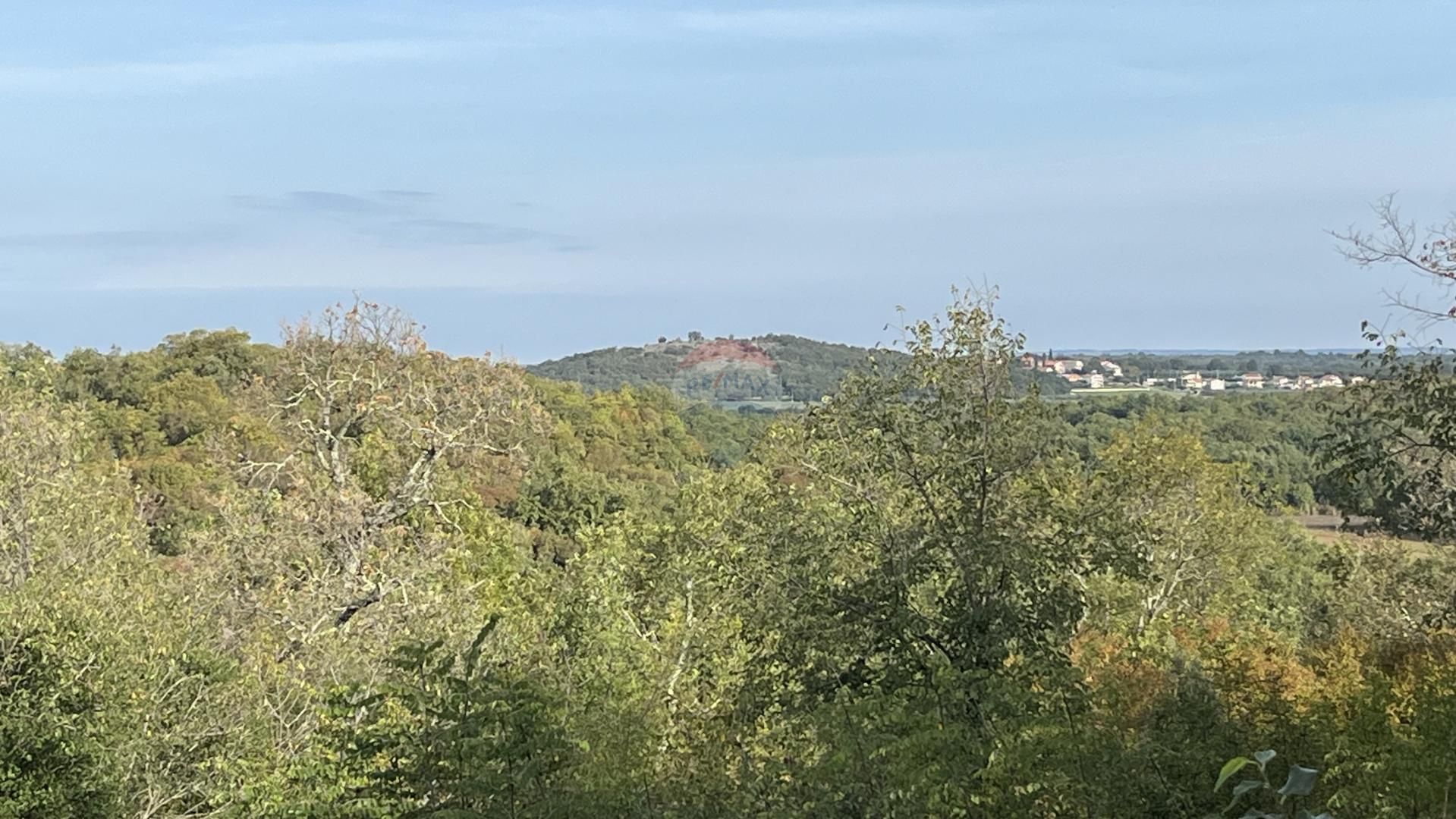 Fotografija