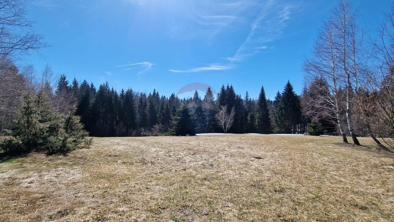 Fotografija