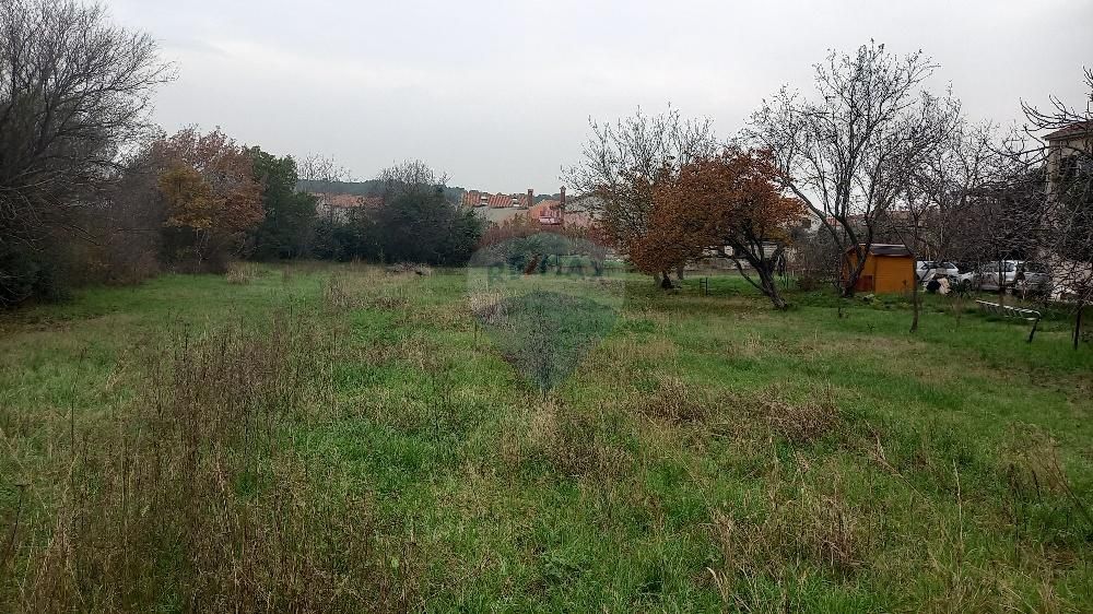 Fotografija