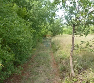 Lijepo šumsko zemljište u blizini Poreča - cover