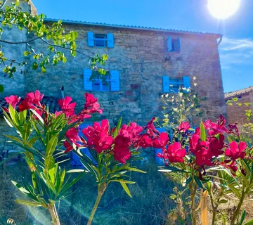 Istra, prekrasno imanje s građevinskim zemljištem - Prilika za investitore - cover