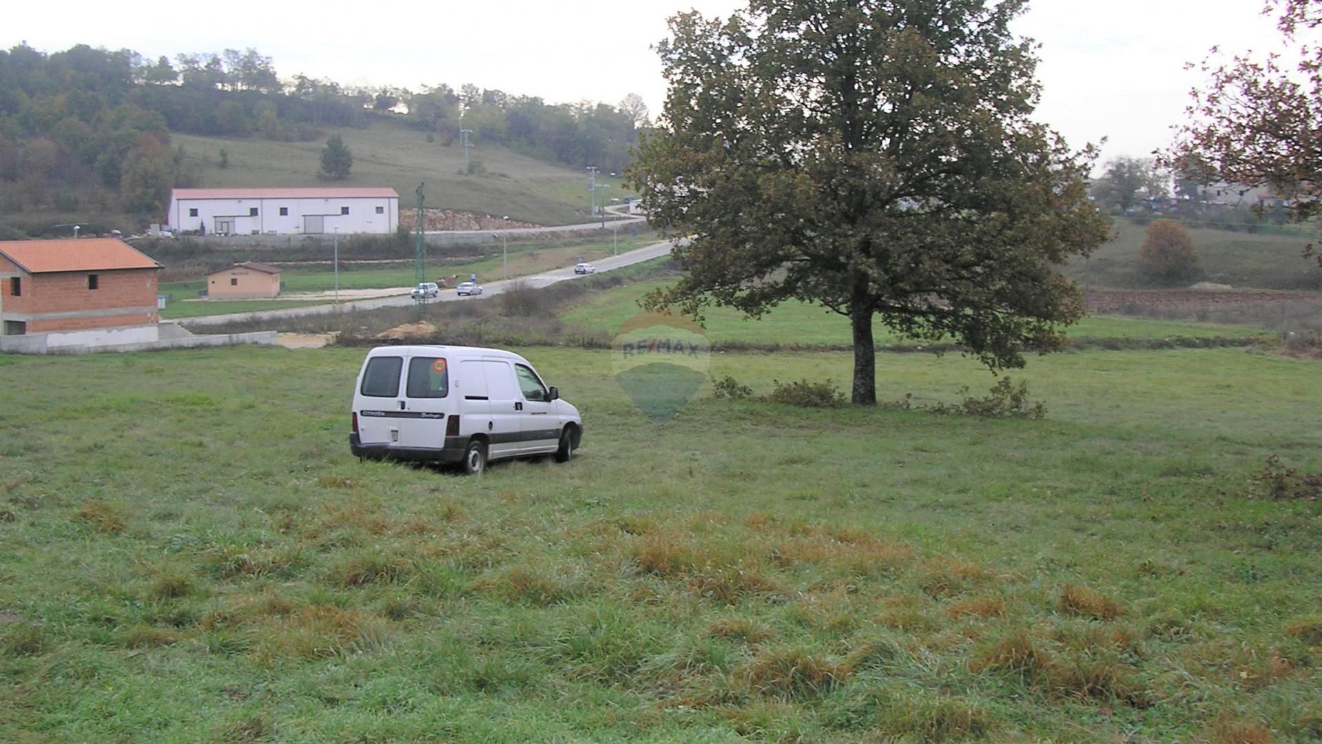 Fotografija