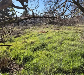 Istra, Rovinj okolica - Sošići građevinsko zemljište - cover