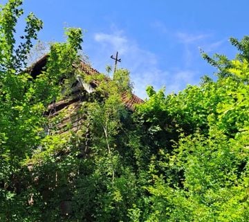 Sisak, Dvor, Gvozdansko - prodaje se zemljište, šuma bagrema, hrastova kuća, bunar - cover