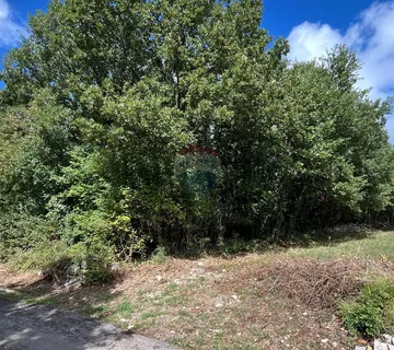 Istra, Kringa- Građevinsko zemljište 1554 m2 - cover