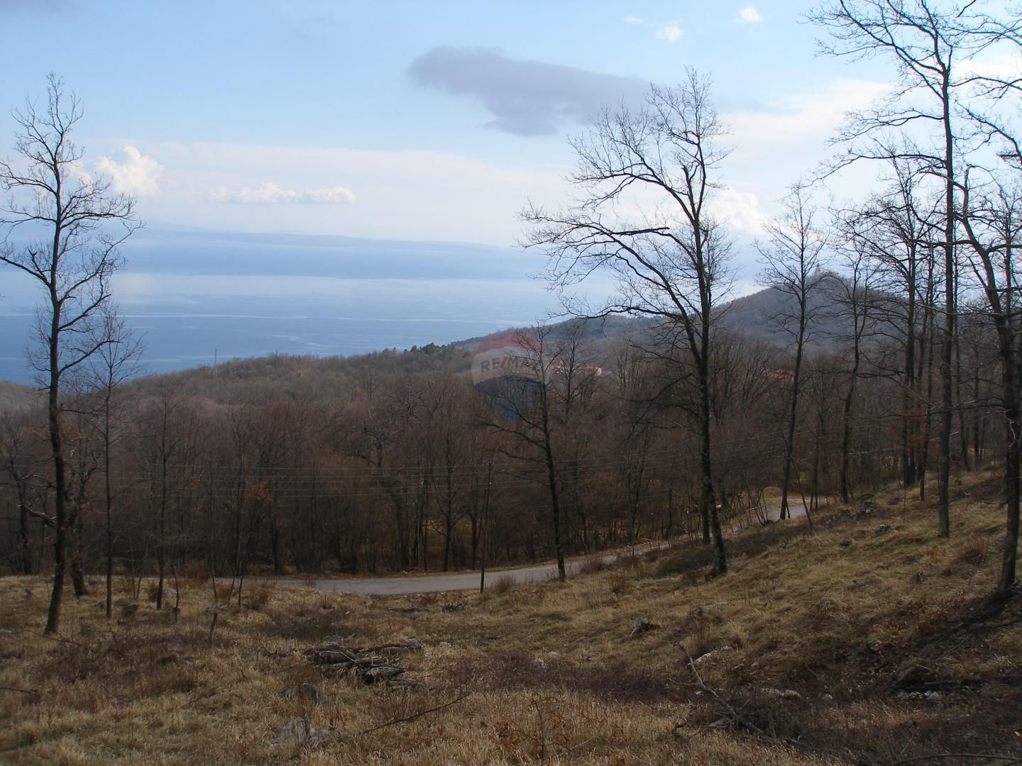 Fotografija