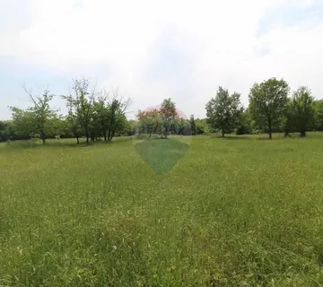 Istra, lijepo poljoprivredno zemljište u okolici Višnjana  - cover